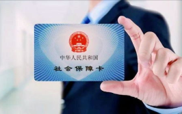 社保是什么,保障民生，构建和谐社会的坚实基石