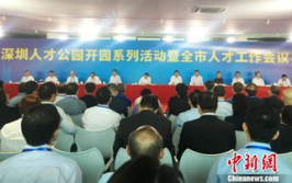 深圳市人才引进,深圳市人才引进政策解读与机遇分析