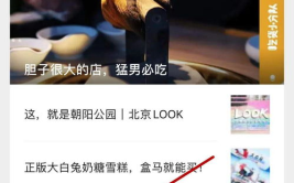不可以(限),探索“不可以”背后的无限可能